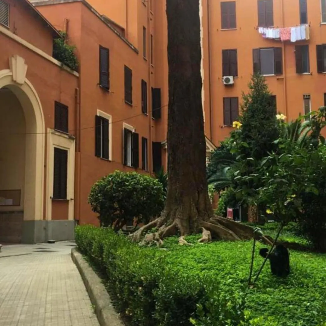 Everlasting Zen Home In San Giovanni Rome Apartment